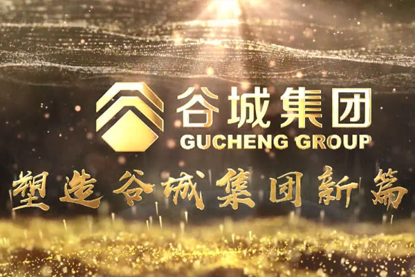 共筑新時(shí)代，不負(fù)韶華夢——谷城集團(tuán)隆重舉行2019年度榮譽(yù)表彰大會(huì)暨2020年迎春年會(huì)